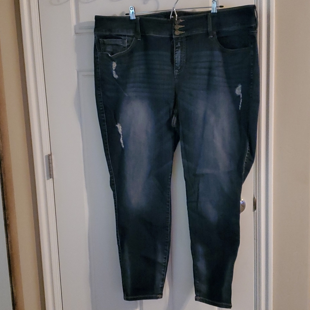 Torrid jeggings plus size 24